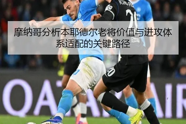 摩纳哥分析本耶德尔老将价值与进攻体系适配的关键路径 - kaiyun
